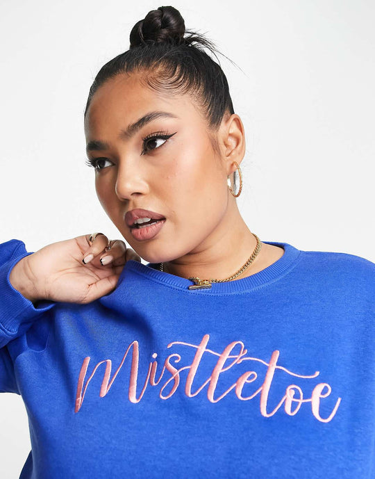 Threadbare Plus Christmas Embroidered Sweater in Blue