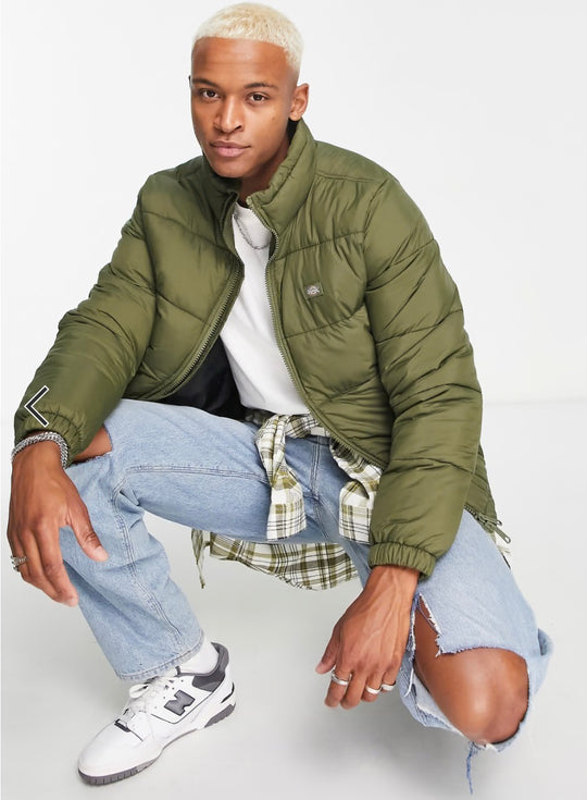 Dickies Waldenburg jacket in khaki