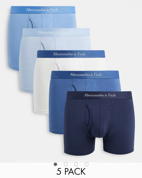 Abercrombie & Fitch 5 pack trunks logo waistband in white/blues