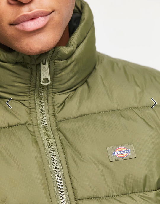 Dickies Waldenburg jacket in khaki